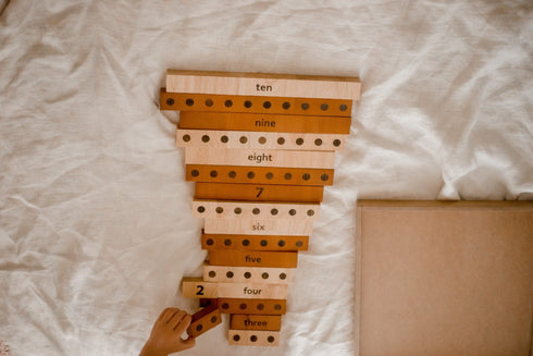 QTOYS - 2 Tone Counting Math Set